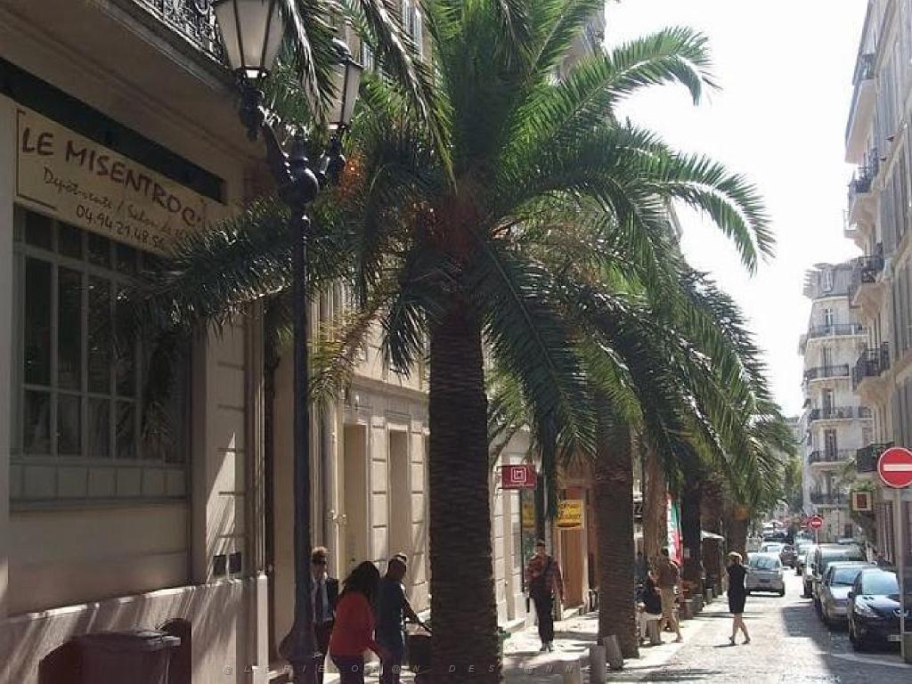 184 TOULON LA VILLE (56).jpg